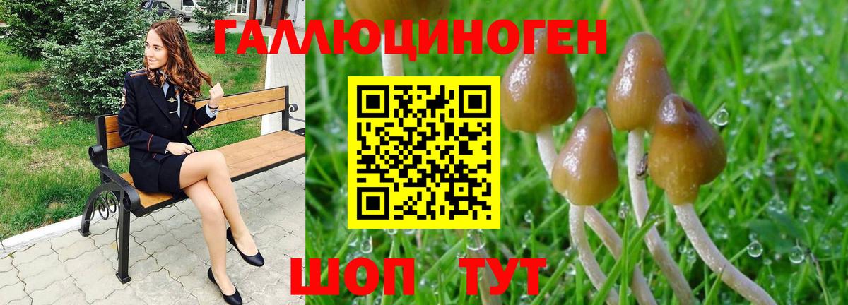 Галлюциногенные грибы GOLDEN TEACHER Губкинский